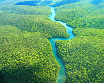 Great_Amazon_Rain_Forest_Brazil.jpg